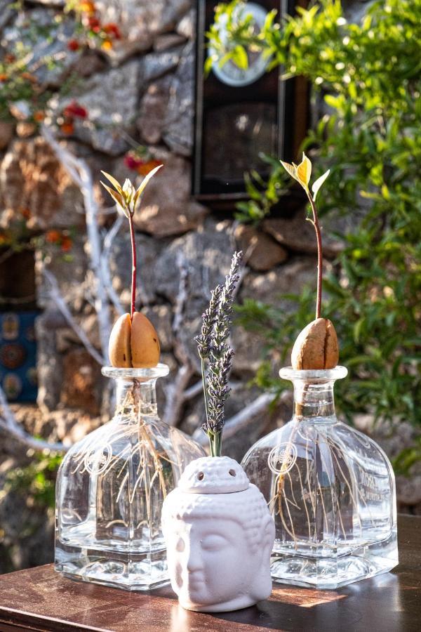 Casa Di Pietra Hotel Fethiye Eksteriør billede